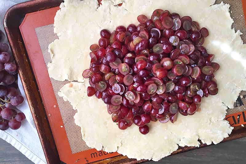 Horizontal image of a pile of sliced grapes on rolled out pie dough.