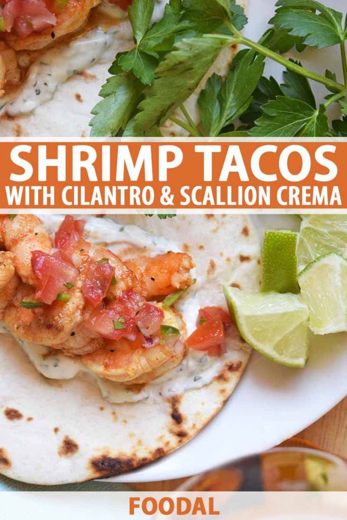 Overhead horizontal image of shrimp tacos with pico de gallo on a white plate with sprigs of fresh cilantro and lime wedges, on a wood surface, printed with orange and white text at the midpoint of the frame and at the bottom.