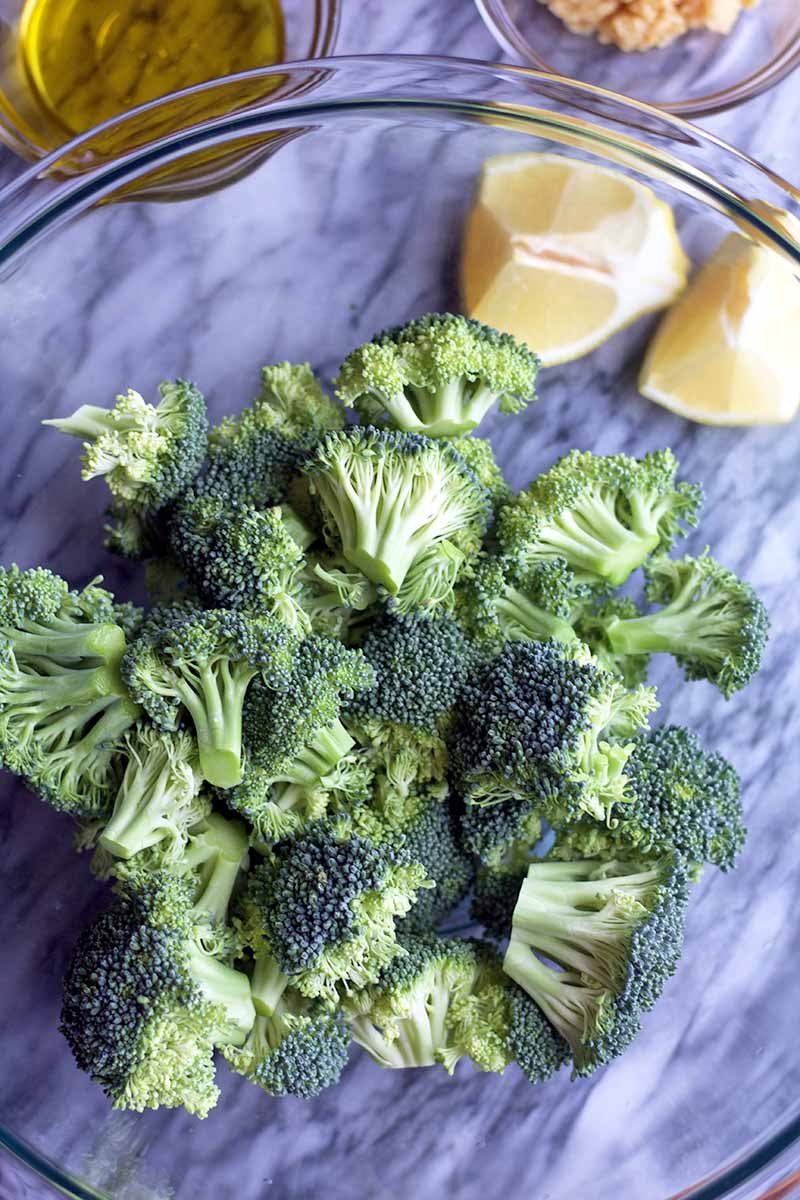 Vertical overhead shot of a glass bowl of broccoli florets, with lemon wedges and small glass bowls of olive oil and minced garlic, on a white parchment paper surface.