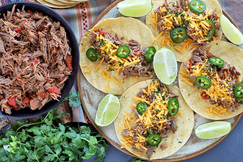 Overhead horizontal image of a black dish of shredded beef barbacoa with tomatoes to the left and a plate of tacos with the meat, shredded cheese, sliced jalapeno, and lime wedges to the right, with a bunch of fresh cilantro on a striped cloth, on top of a gray surface.
