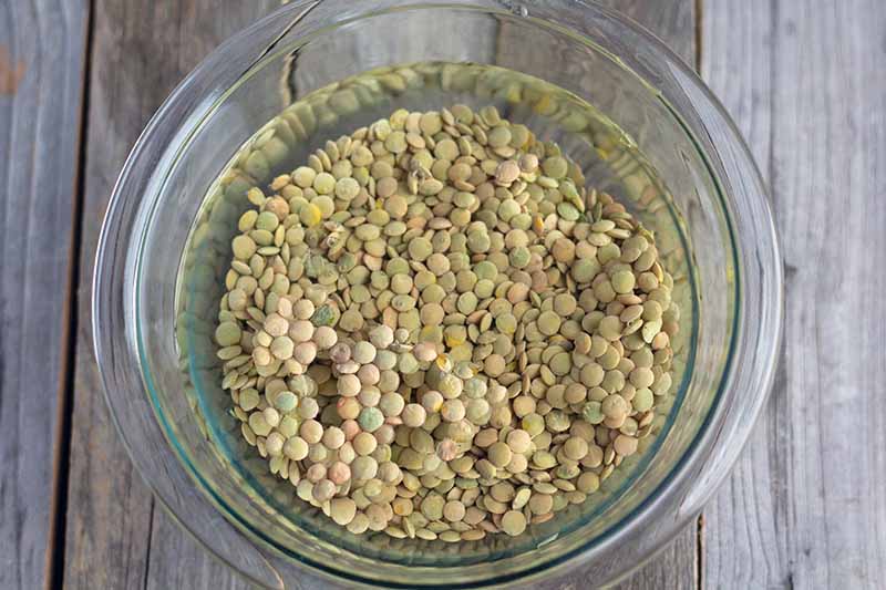Horizontal overhead image of green lentils soaking in water in a glass mixing bowl, on an unfinished weathered wood surface.