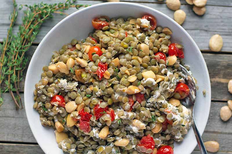 Overhead closely cropped horizontal image of a white bowl of homemade lentil salad with nuts, cheese, and tomatoes, with a serving spoon, on a wood surface with fresh thyme and Marcona almonds.