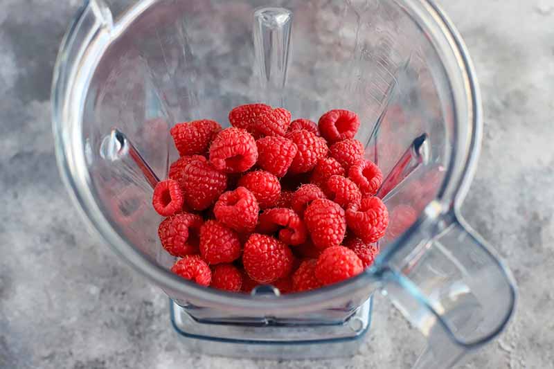 Fresh raspberries in the bottom of a plastic blender canister, on a gray surface.