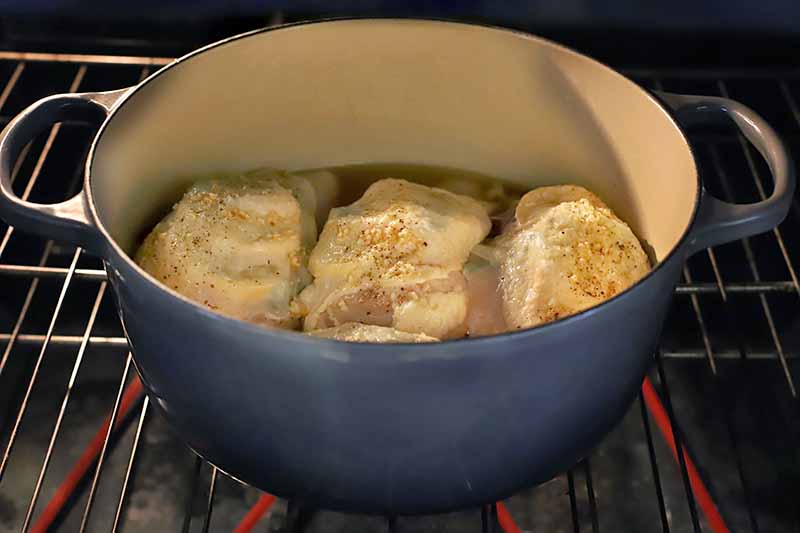 Skin-on chicken braising in liquid in a large enameled dutch oven, blue on the outside and cream-colored on the inside, on the rack of an electric oven.