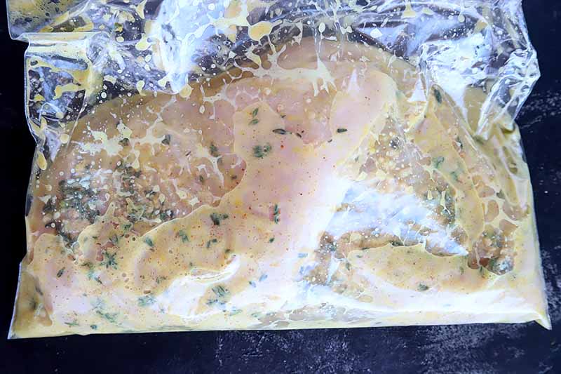 Horizontal image of chicken breasts and marinade in an airtight bag.