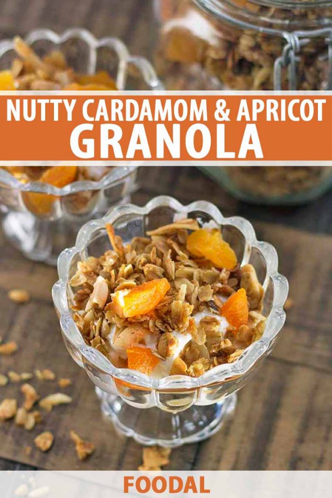 Vertical image of two parfait glasses of yogurt topped with apricot and nut granola, with a swingtop glass jar of the cereal in the background, on a brown wood surface with scattered oats, printed with orange and white text at the midpoint and the bottom of the frame.