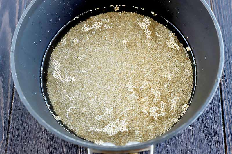 Horizontal image of cooking pseudograins with water in a black pot.