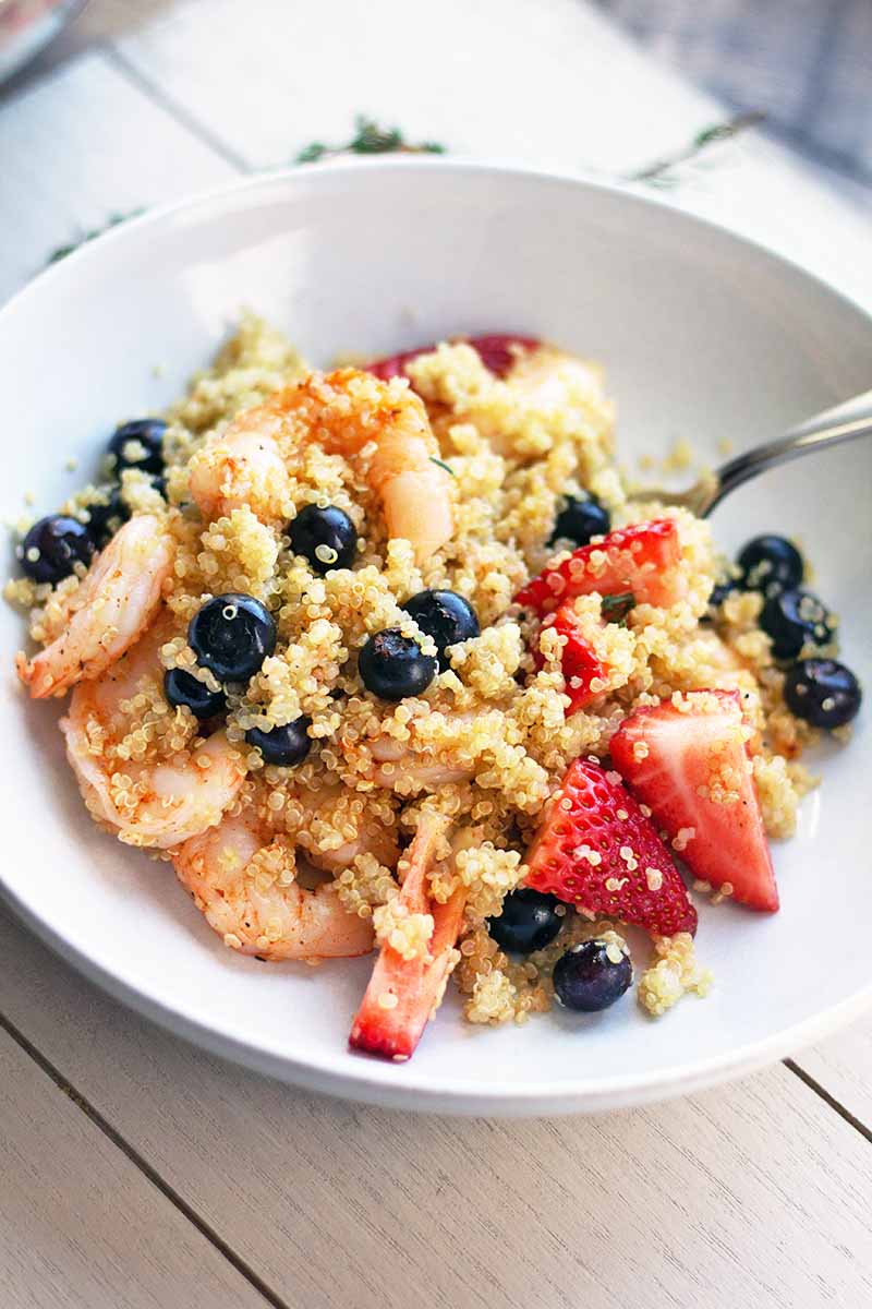 Vertical oblique image of a shallow white ceramic bowl of quinoa with berries and shrimp, with a spoon, on a white surface.