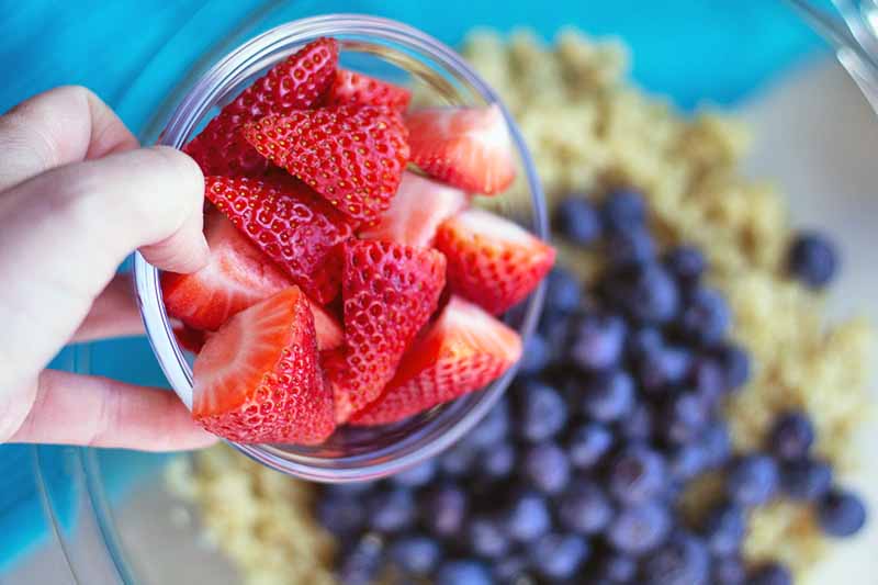 Horizontal image of a hand to the left, holding a small glass dish of sliced strawberries, with a large mixing bowl of cooked quinoa and blueberries in soft focus below, on a white surface partially covered with a bright blue cloth.