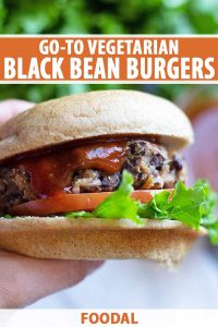 Go-To Vegetarian Black Bean Burgers Recipe | Foodal
