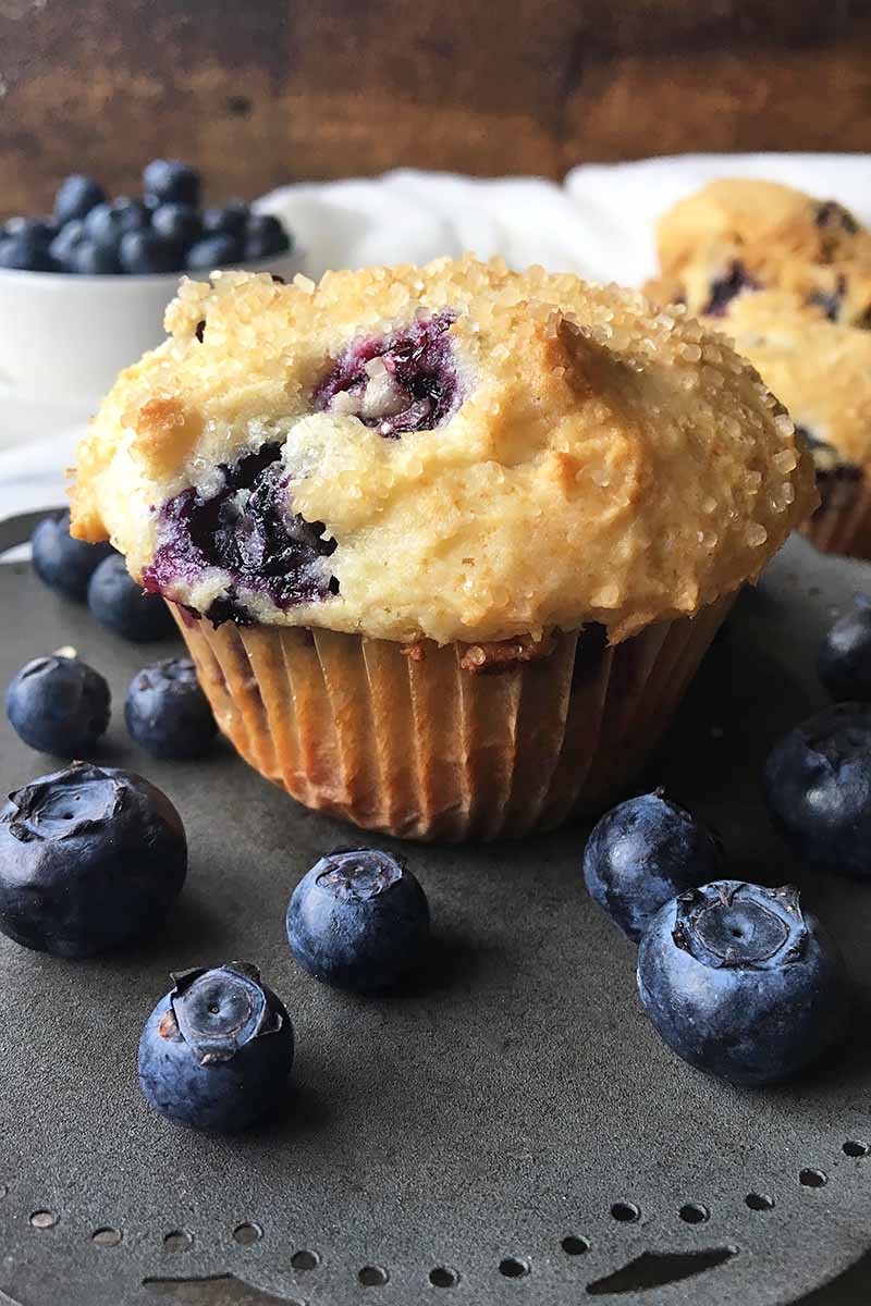 Vertical image of one baked blueberry muffin a dark stand surrounded by fresh fruit.
