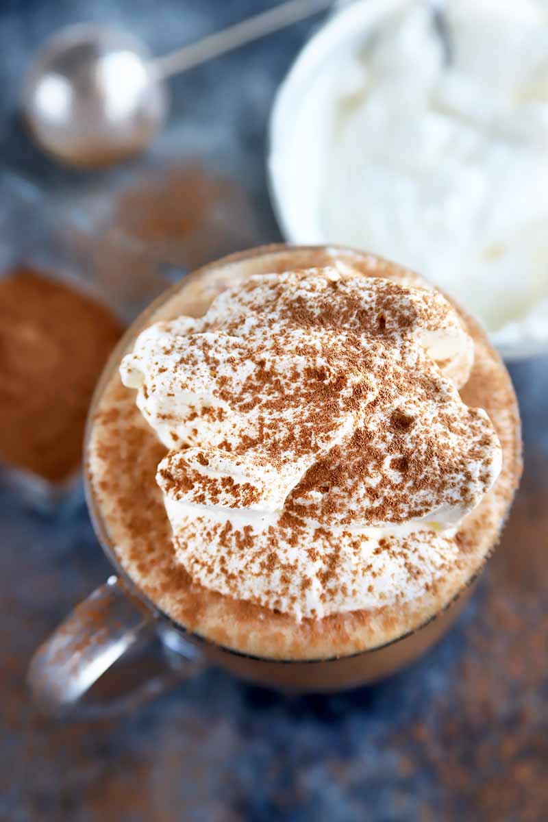 Vertical close-up image of whipped cream and cocoa powder on top of a glass drink, next to bowls of more whipped cream and cocoa powder.