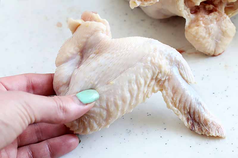Horizontal image of a hand with light blue fingernail polish holding a raw poultry wing.