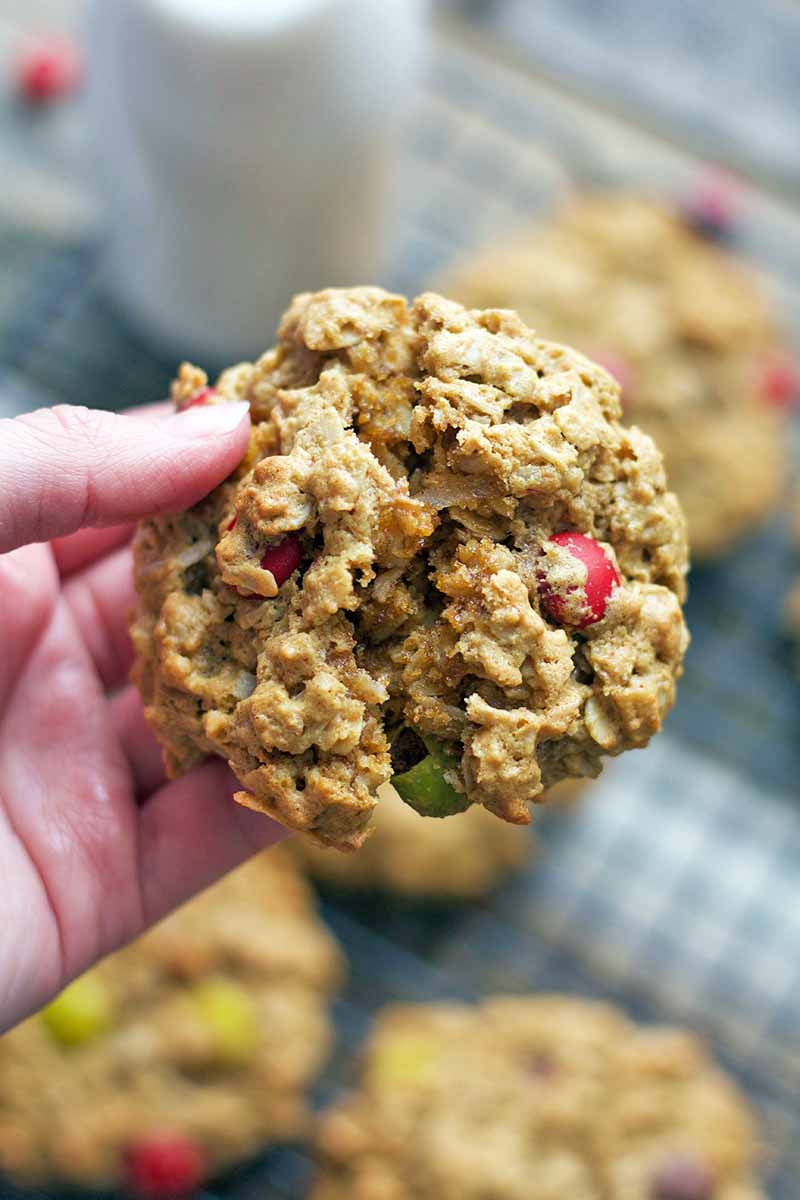 Vertical image of a hand holding a chewy oatmeal M&M cookie up to the camera, with more on a metal cooling rack with a glass bottle of milk in soft focus in the background.