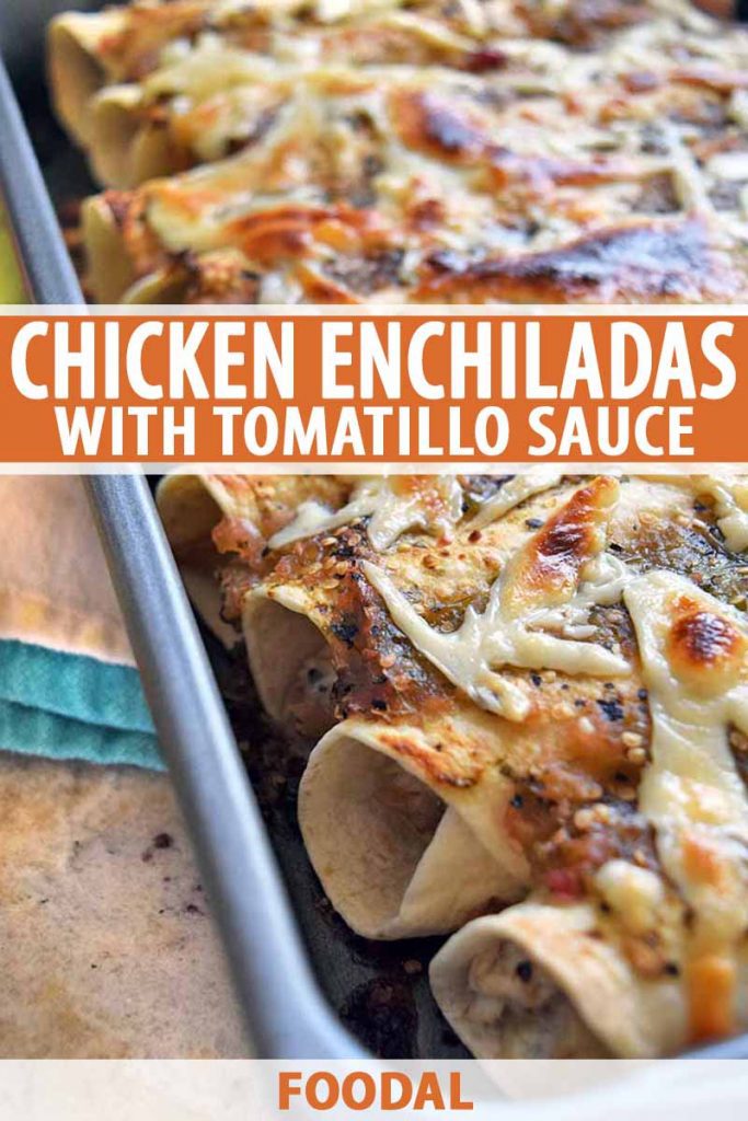 Vertical image of chicken enchiladas with bubbly golden brown melted cheese on top in a metal baking pan, on a beige and blue striped cloth surface, printed with orange and white text at the midpoint and the bottom of the frame.