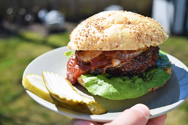 A cheeseburger with lettuce, barbecue sauce, and grilled onions, on a sesame seed bun, on a white plate next to a few pickle chips, with a hand holding the plate up to the camera, and a green lawn in soft focus in the background.
