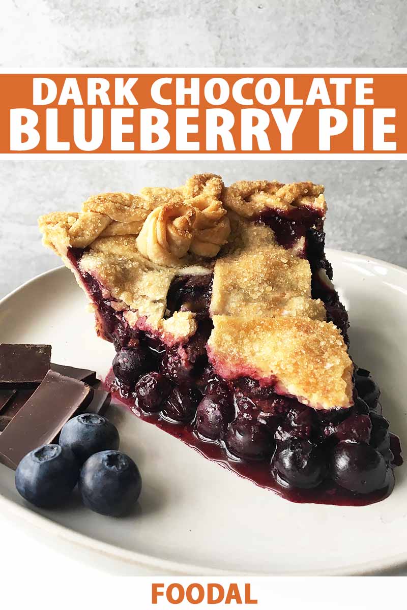 Vertical image of a slice of juicy blueberry pie on a plate next to fresh fruit and candy chunks, with text on the top and bottom.