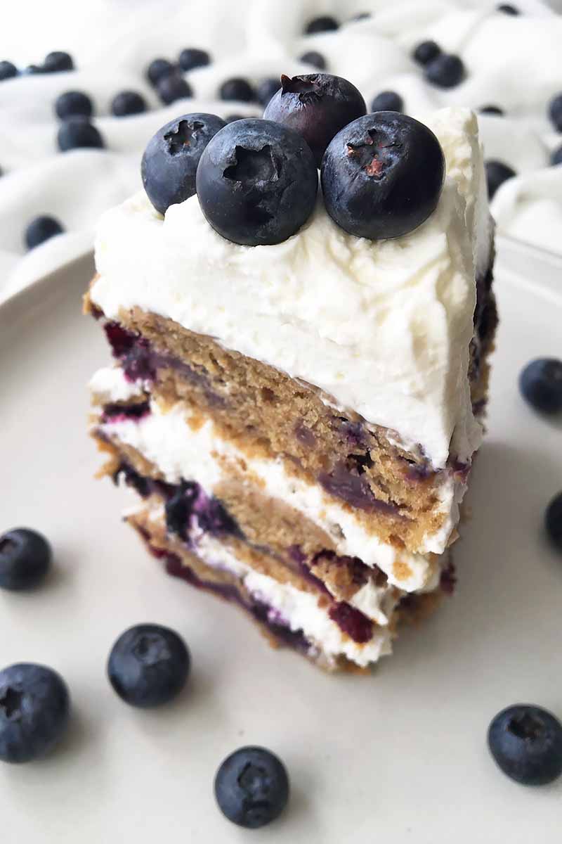 Vertical close-up image of a slice of blueberry cake with thick whipped topping on a white plate with fresh fruit scattered around it.