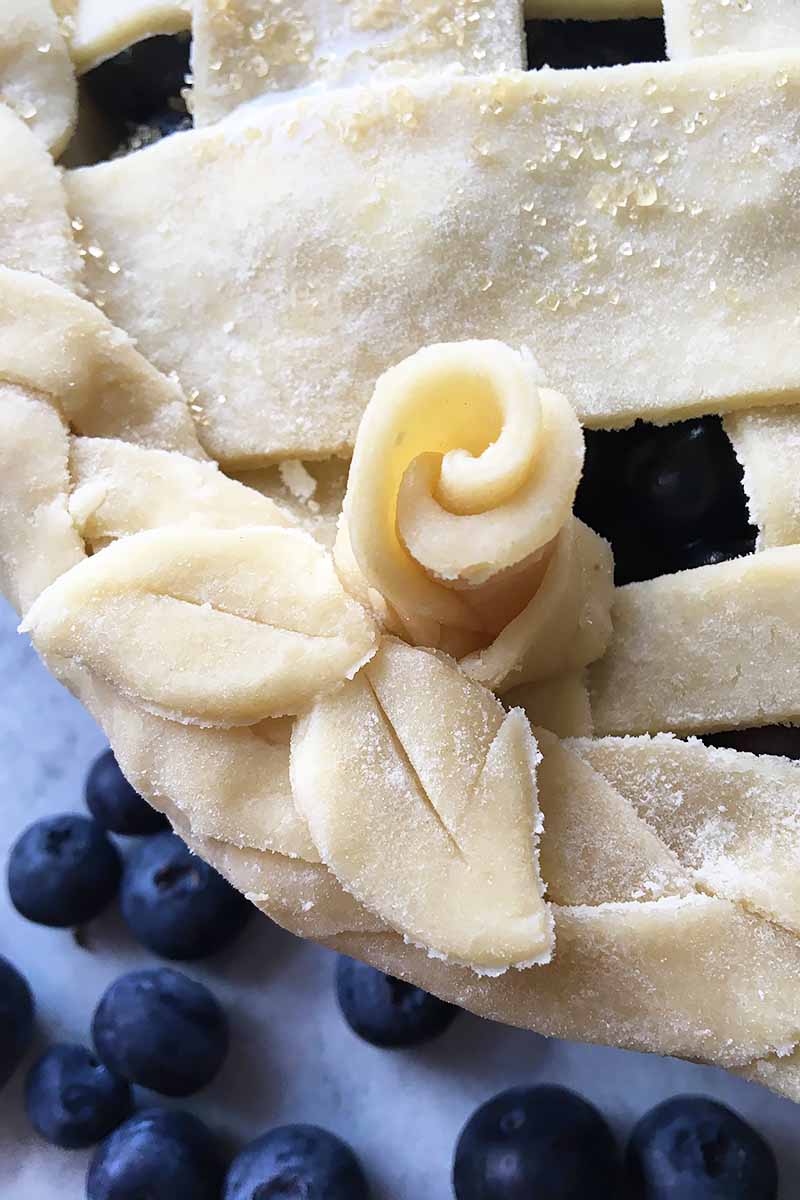 Vertical image of a decoration on an unbaked pie crust.