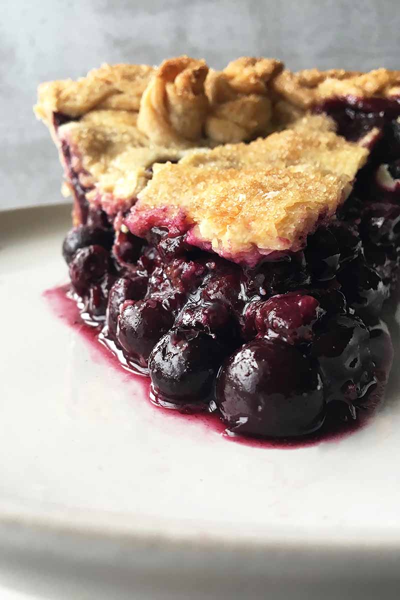 Vertical close-up image of a juicy blueberry filling in a baked pie on a white plate.