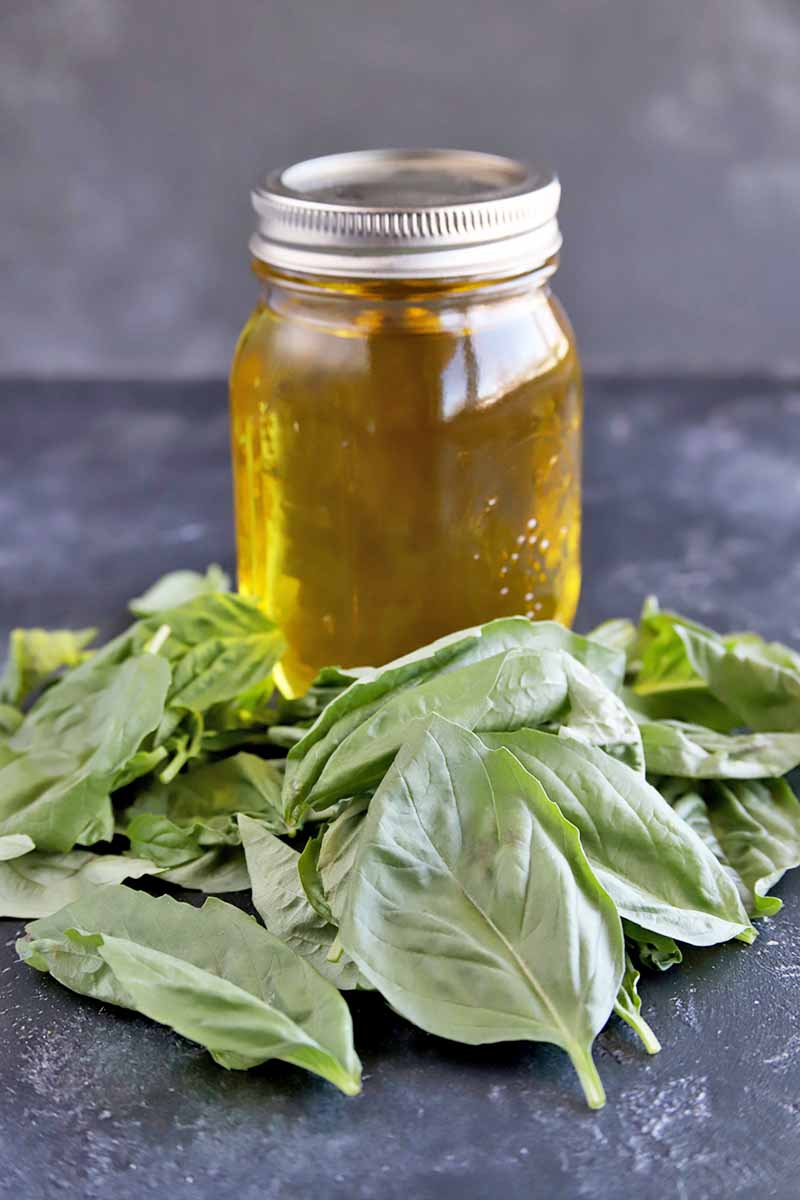 Vertical image with a pile of fresh basil leaves in the foreground and a glass jar of cooking oil to the rear, on a slate surface, against a light gray mottled background.