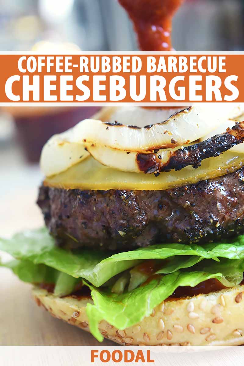 Vertical image of a cheeseburger with grilled onions, lettuce, and a bottom bun, with barbecue sauce being poured on top, with orange and white text at the midpoint and bottom of the frame.