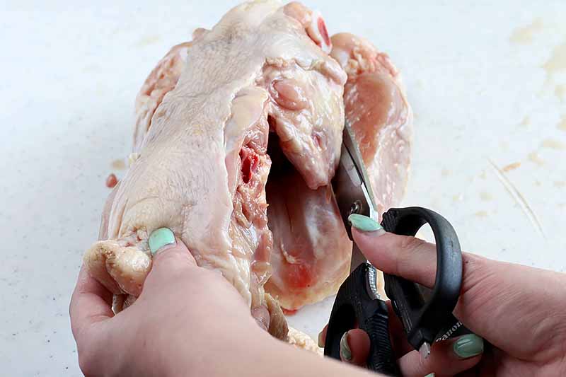 Horizontal image of a hand using kitchen shears to cut through the body of a raw chicken.