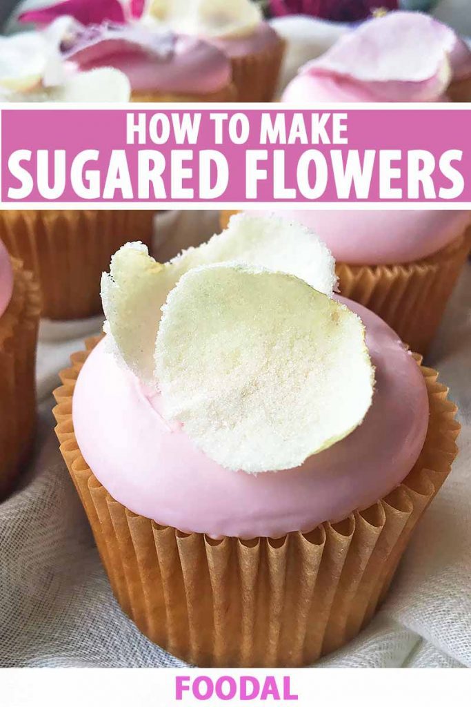 Vertical image of cupcakes decorated with thick pink frosting and garnished with candied blooms.