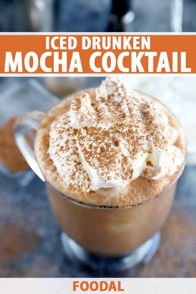 Vertical image of a glass with a brown liquid topped with whipped cream and cocoa powder garnishes, with text on the top and bottom of the image.