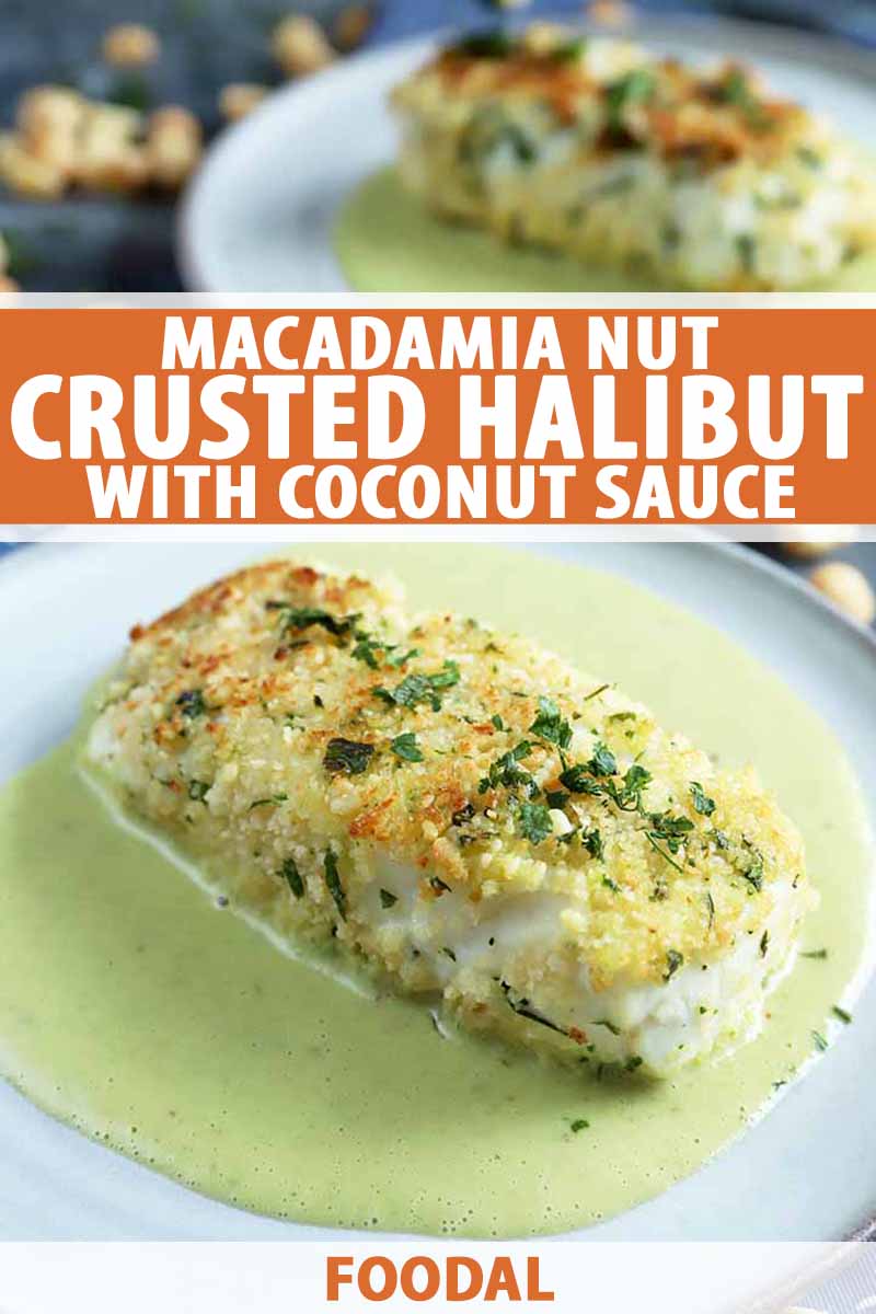 Vertical image of two white plated of nut-crusted halibut fillets with a pale green sauce, with scattered nuts and herbs on a dark blue background, printed with orange and white text at the midpoint and bottom of the frame.