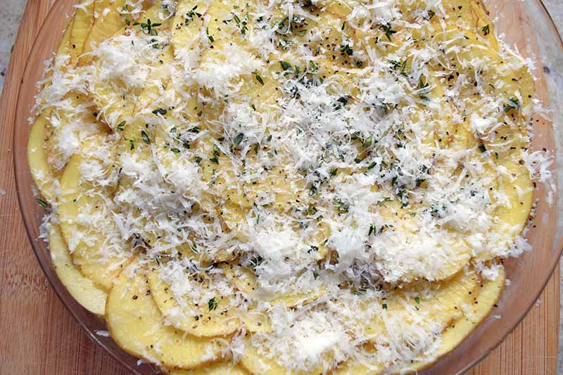 Horizontal closely cropped overhead image of thinly sliced potatoes arranged in concentric circles in a glass baking dish, with grated cheese and chopped fresh herbs on top, on a brown unfinished wood surface.