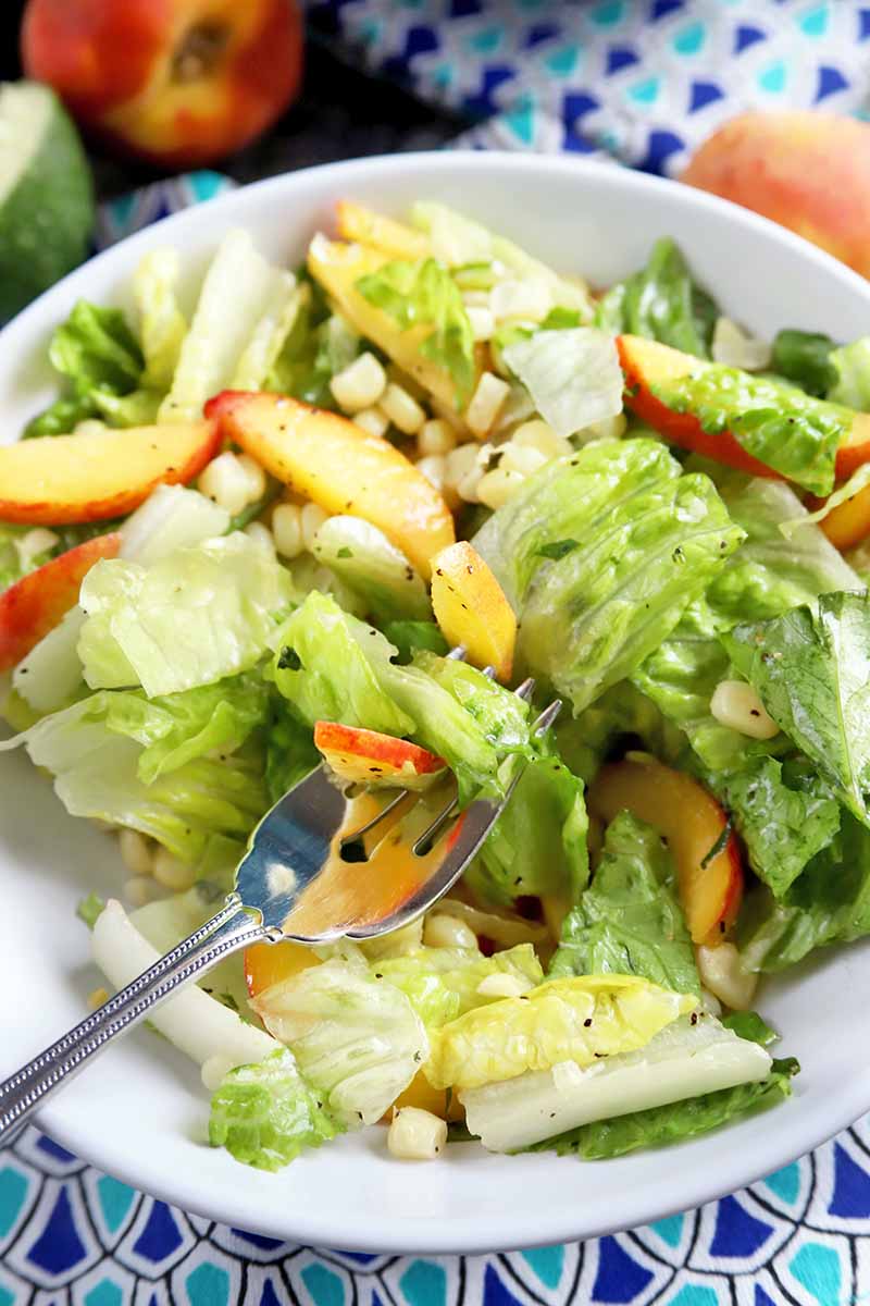 Vertical image of a fork piercing a fresh salad with sliced stone fruit and kernels.