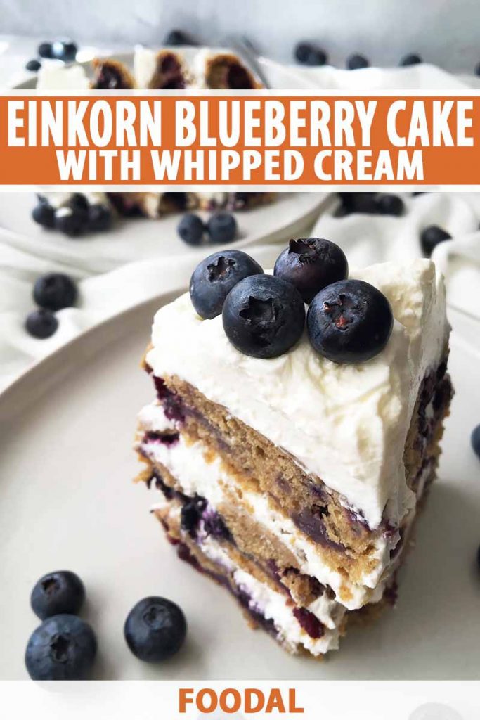 Vertical image of a slice of cake with whipped cream and berries on a white plate, with text on the top and bottom of the image.