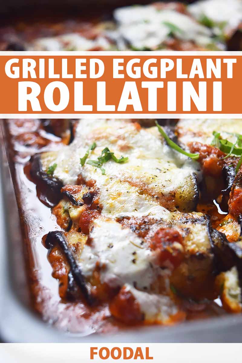 Grilled Eggplant Rollatini With Lemony Herbed Ricotta Foodal,Chicken Parmesan Recipe Food Network