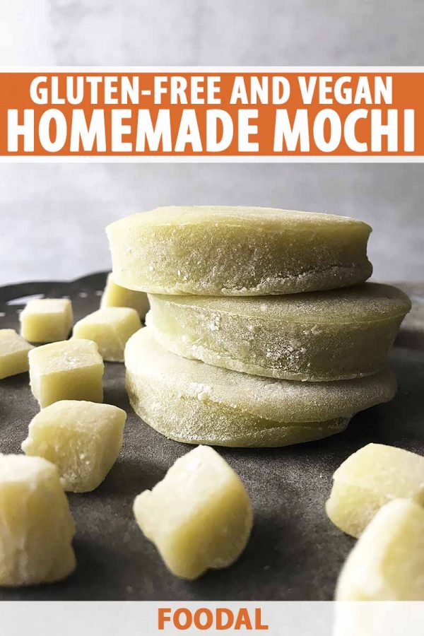 Gluten-Free and Vegan Homemade Mochi Recipe | Foodal