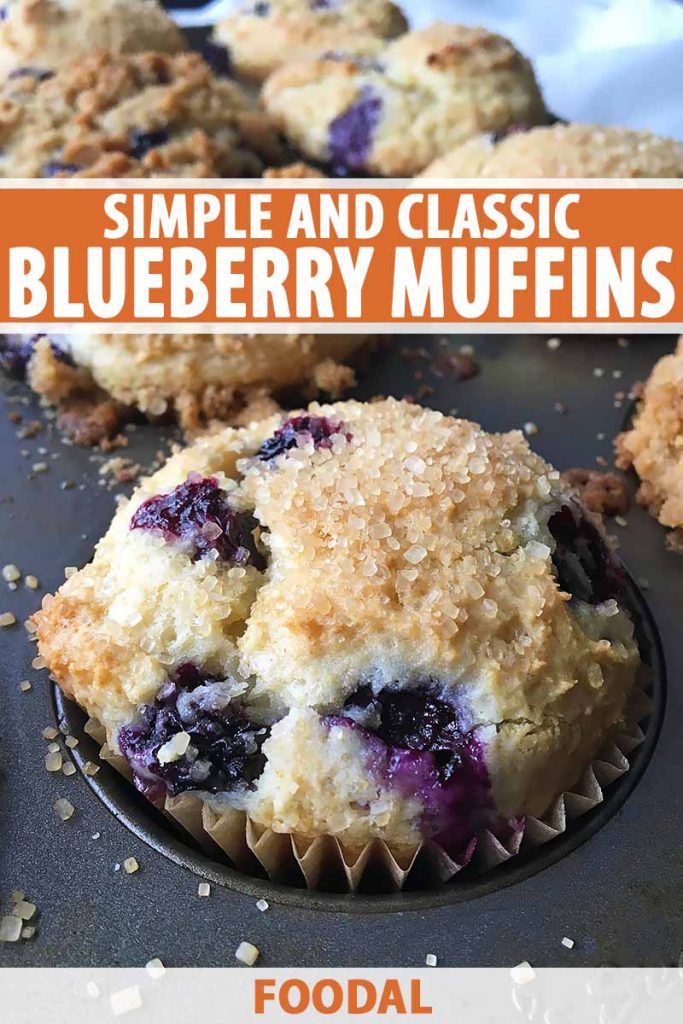 Vertical close-up image of a blueberry muffin in the baking pan, with text on the top and bottom of the image.