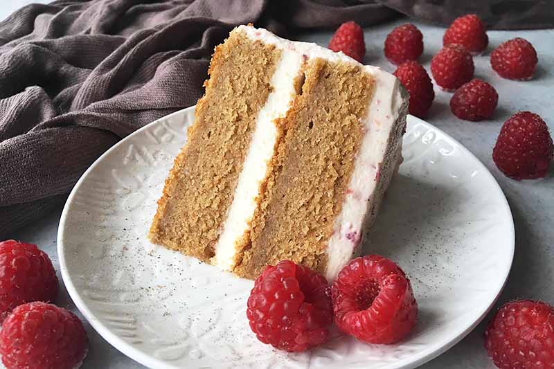 Horizontal image of a two-layer spelt cake with a white filling and light pink frosting on a white plate garnished with raspberries.