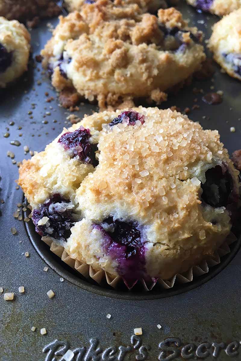 Vertical close-up image of blueberry muffins with a sugar coating in a baking pan.