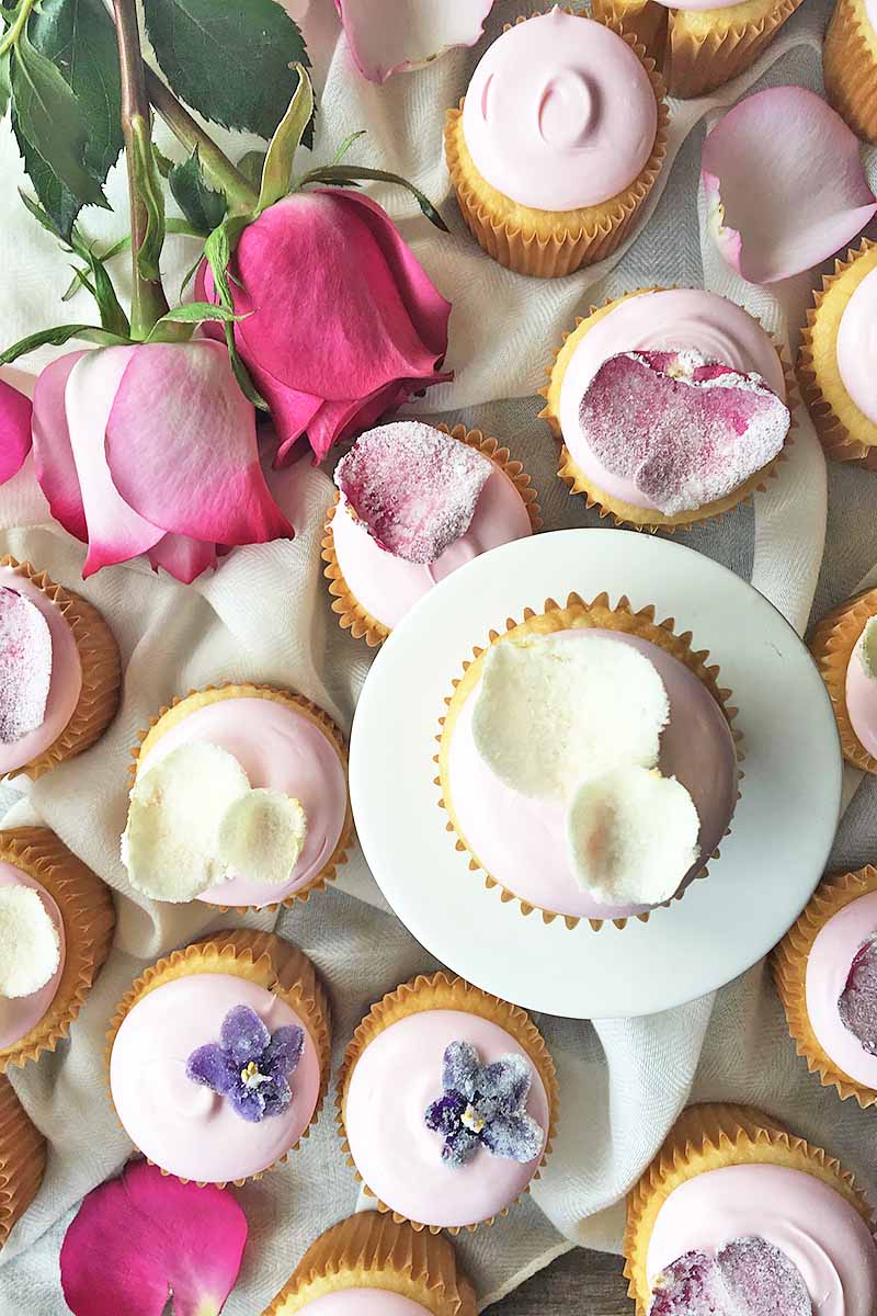 Vertical top-down image of an assortment of pink cupcakes on a white background with assorted candied flowers as garnishes next to whole pink roses.
