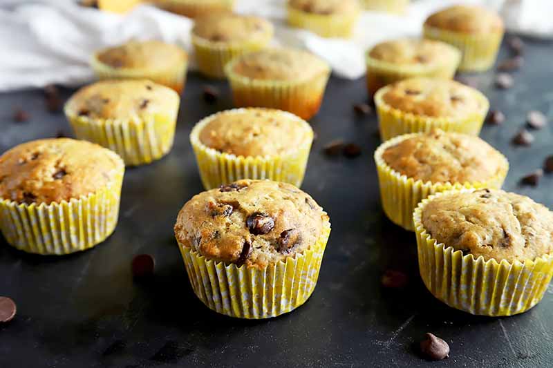 Horizontal image of a banana muffins with chocolate chips on a black surface