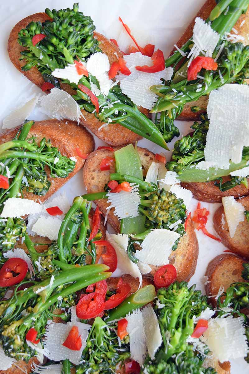Vertical closeup overhead image of broccoli rabe tartines with thinly sliced bird's eye chili pepper and shaved Pecorino, on a white serving platter.