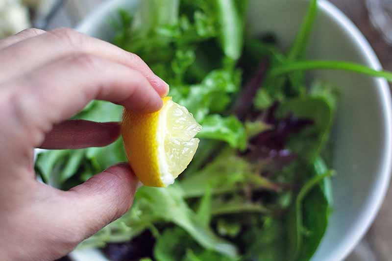 Horizontal image of a hand squeezing a small wedge of lemon onto salad greens in a white ceramic bowl below.