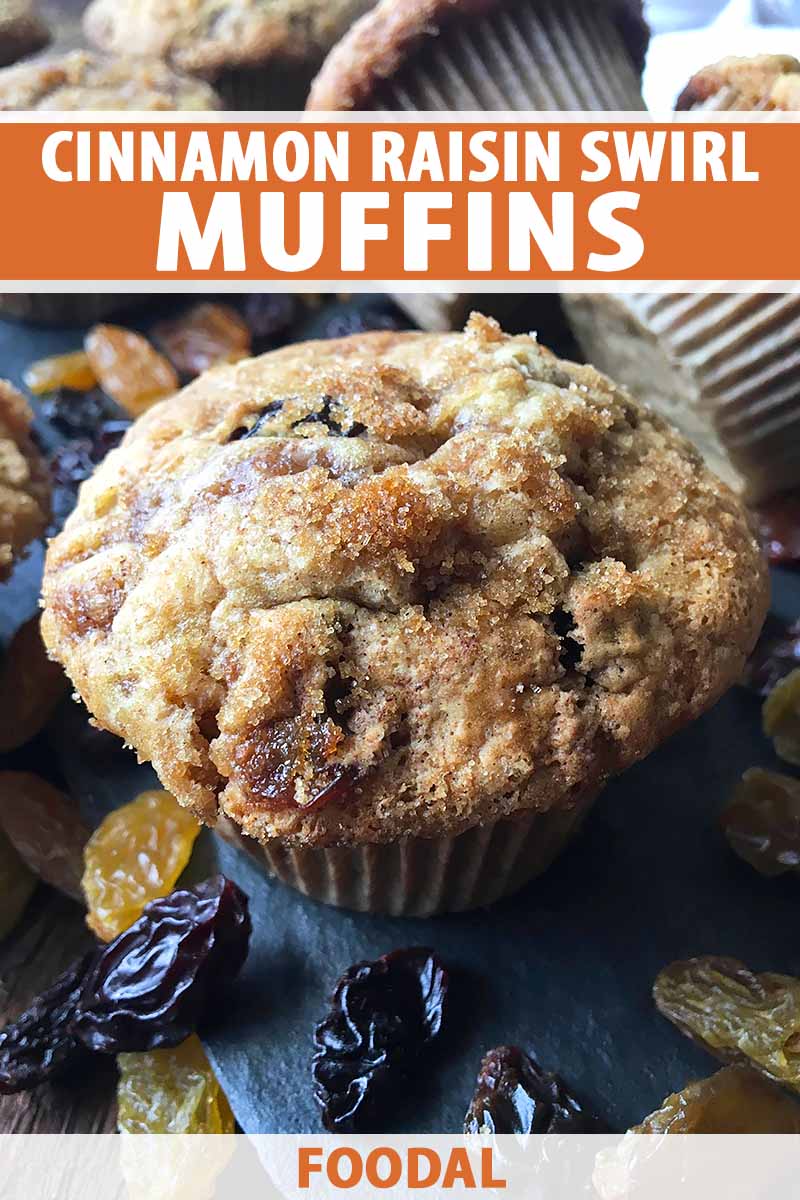 Vertical close-up image of a cinnamon muffin surrounded by dried fruit, with text on the top and bottom of the image.