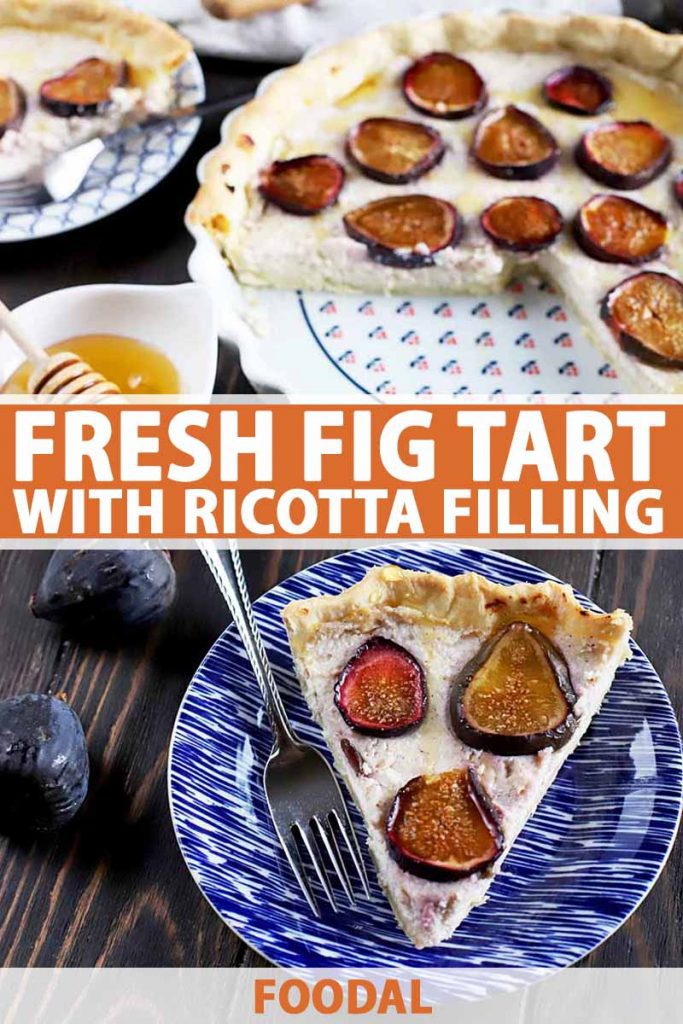Vertical oblique overhead image of a fig and ricotta tart, with a slice on a blue plate with a fork in the foreground and another identical plate at the top left of the frame, with the remainder of the dessert in a white patterned ceramic baking dish at the top right of the frame, with a small white dish of honey with a wooden dipper in the middle, with a few pieces of fresh fruit on a dark brown wood surface.