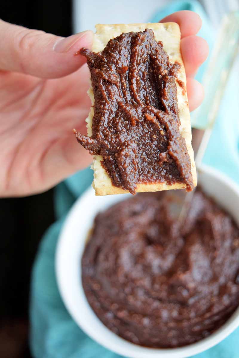 Vertical image of a hand holding a cracker with a smear of chocolate hazelnut spread on top, with more in a bowl in the background.