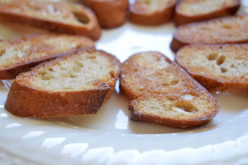 Horizontal image of toasted baguette slices arranged in a circle on a white plate.