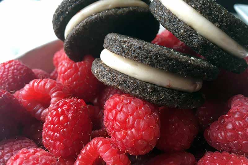 Horizontal image of three dark brown sandwich cookies with a light pink filling on top of fresh fruit.