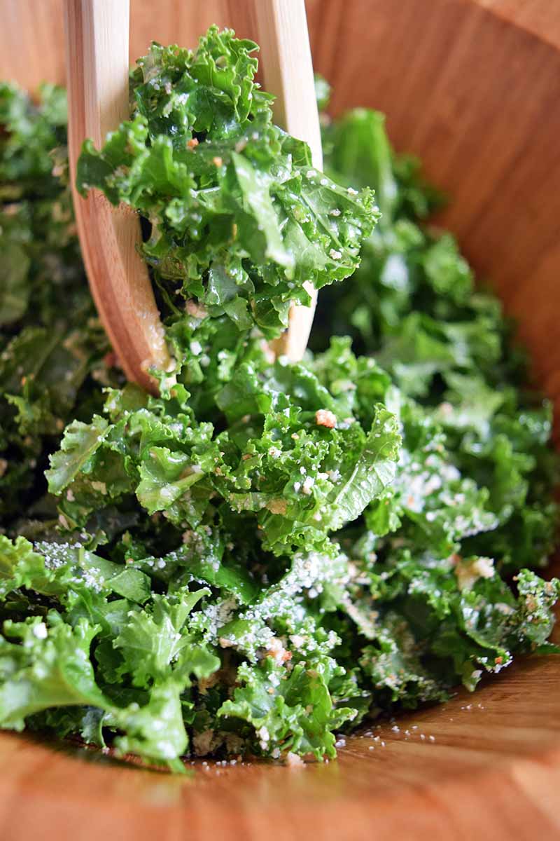 Vertical closely cropped image of a wooden salad bowl full of kale salad with grated cheese on top, with wooden tongs.