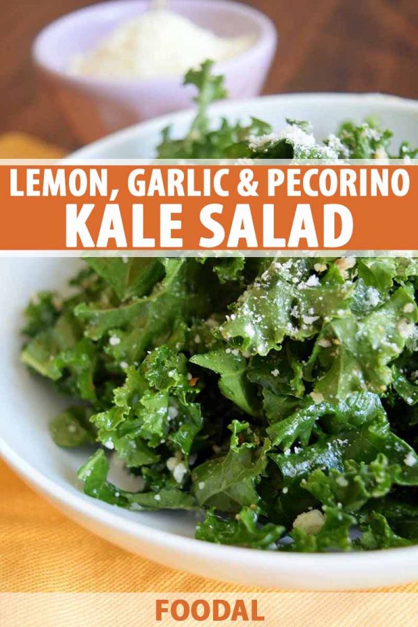Simple Kale Salad with Garlic, Lemon, and Pecorino | Foodal