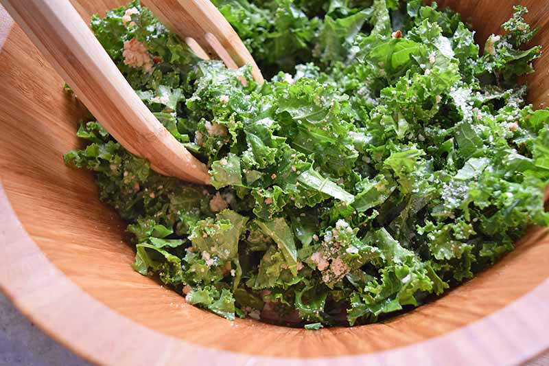 Horizontal closely cropped image of kale salad with Pecorino cheese in a large wooden salad bowl, with wooden salad tongs.